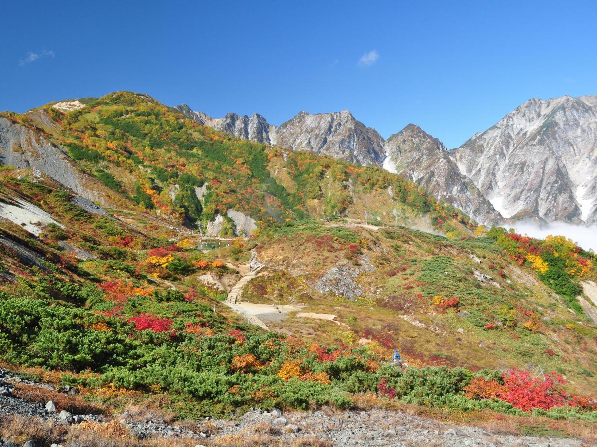 Kudo'S Lodge Hakuba Esterno foto